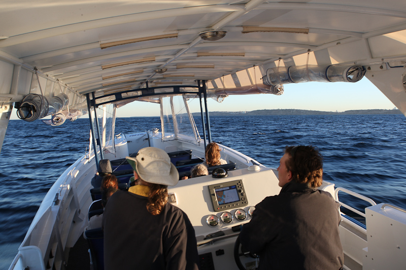 Totally Wild Whale Watching captain Totally Wild Whale Watching captain
