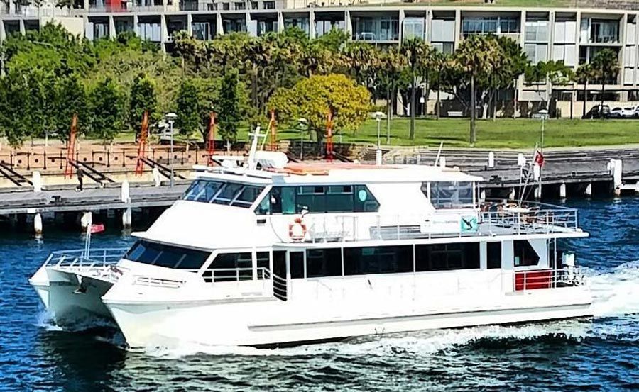 vivid cruise on Jerry Bailey side profile
vivid cruise on Jerry Bailey side profile