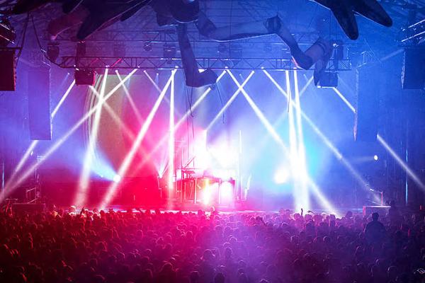 We Put the Spotlight on Vivid