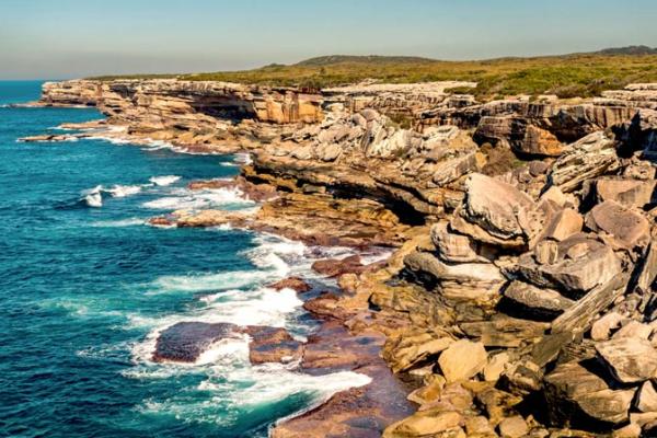 5 Best Whale Watching Spots In Sydney