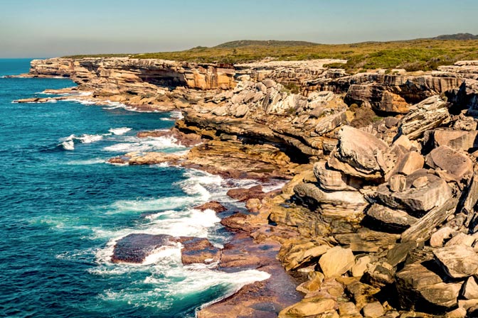 5 Best Whale Watching Spots In Sydney