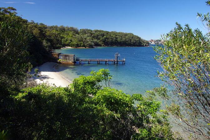 Our top picks for an unforgettable Boxing Day on the water