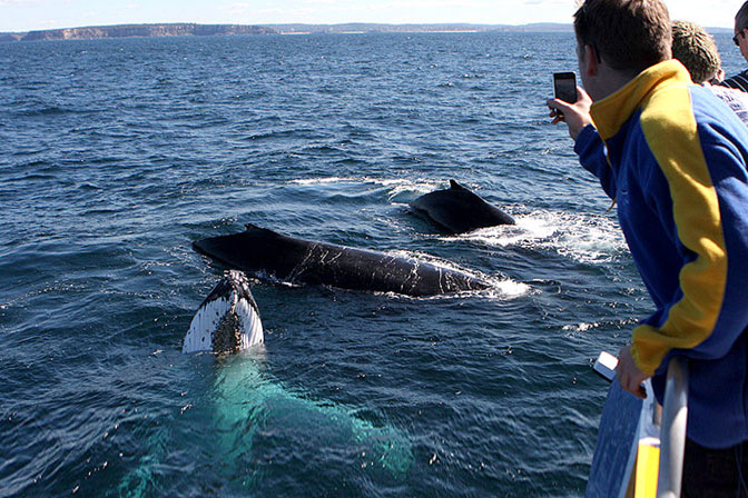 10 Reasons to Charter a Boat This Winter